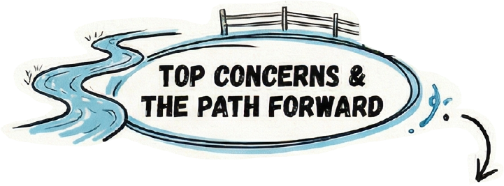 Top concerns and the path forward
