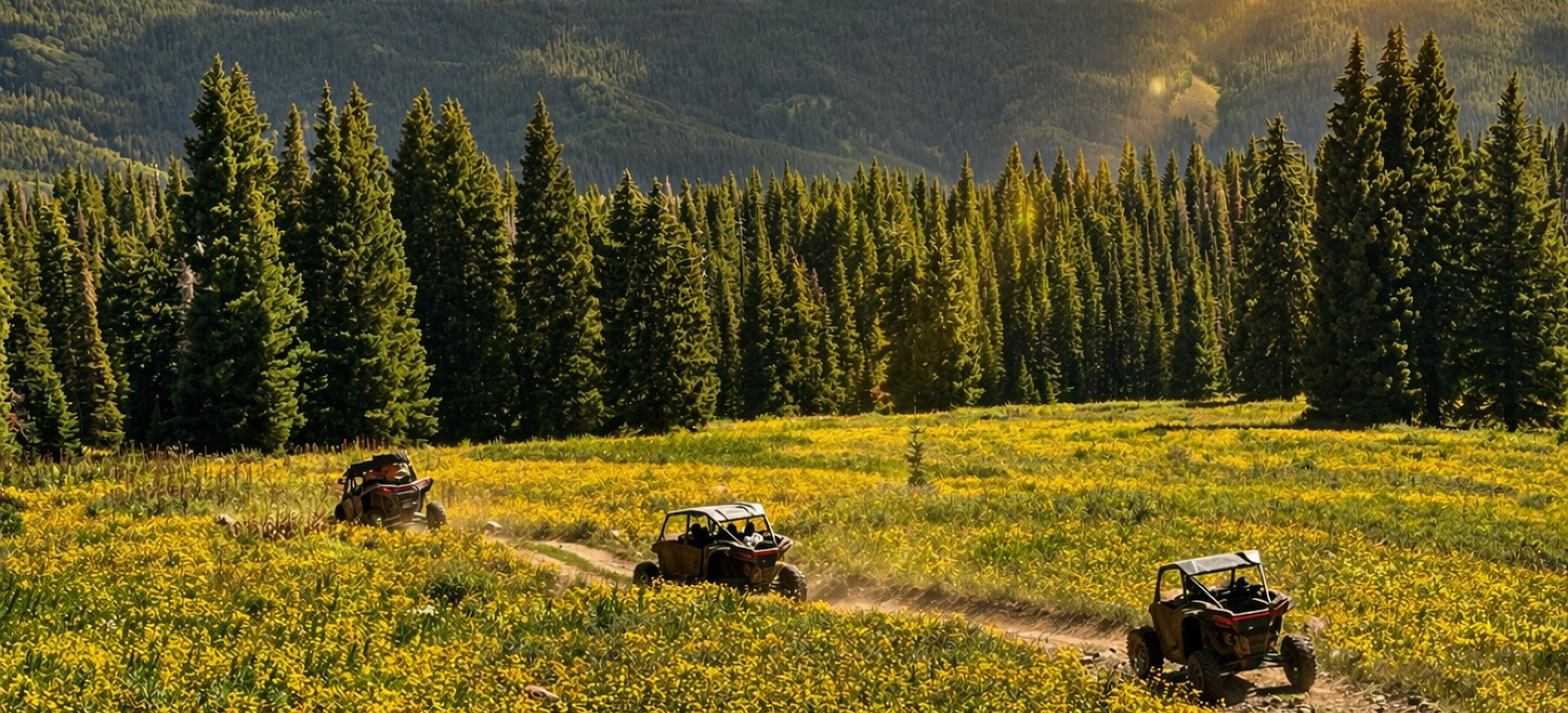 ATVs on land
